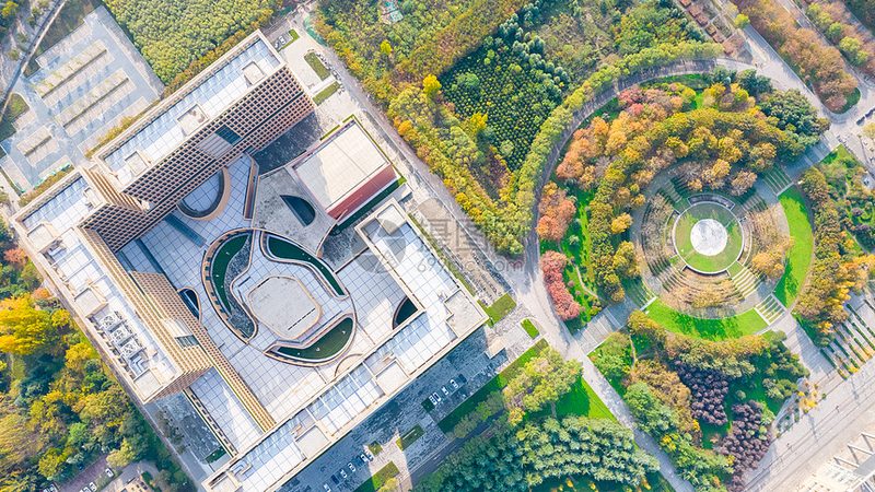 国产电子模块性价比之选：揭秘如何慧眼识珠