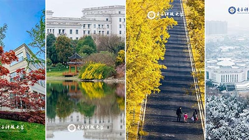 高频电路中，钽电容与电解电容的选用考量