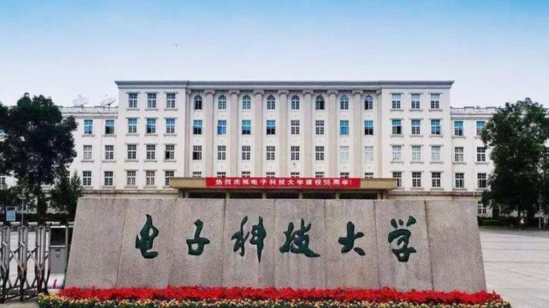 电子代理商的崛起：揭秘成功加盟背后的秘密**