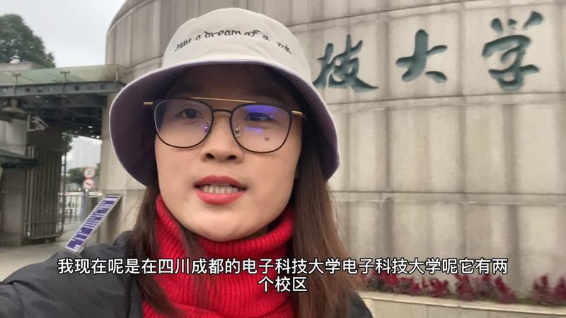 车规级芯片：北京厂家的崛起与挑战